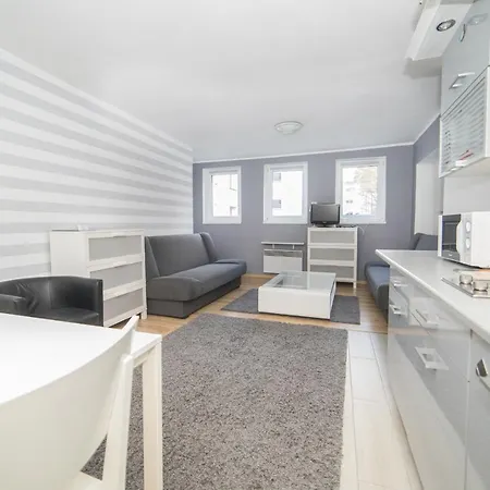 Ms-apart Studio Przy Parku Lesnym דירה
