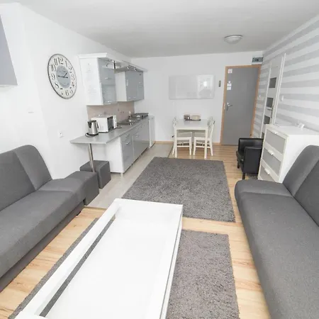 Ms-apart Studio Przy Parku Lesnym דירה